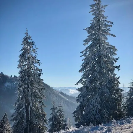 Будинок В Пейзажній Місцевості Krivorovnya Exterior photo